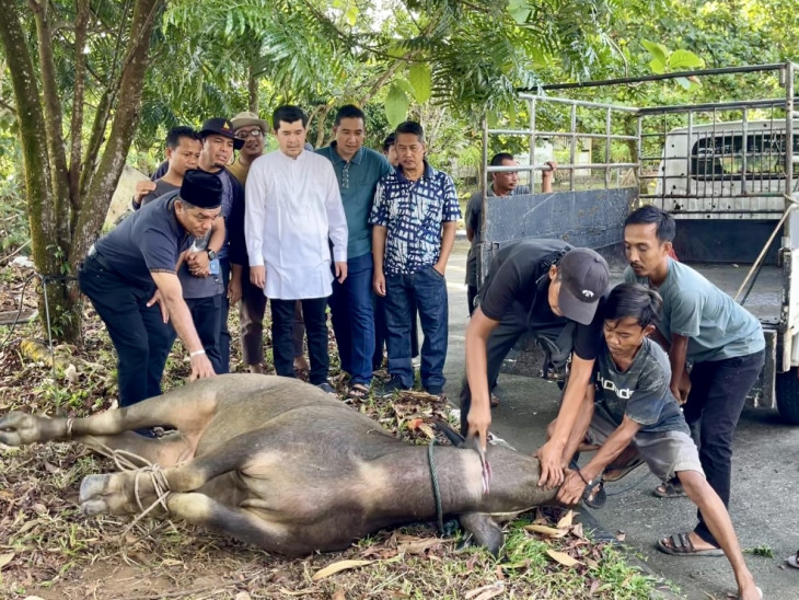 Meriahkan Hari Raya Idul Adha 1445 H, Keluarga Besar Bappeda Sembelih Hewan Kurban
